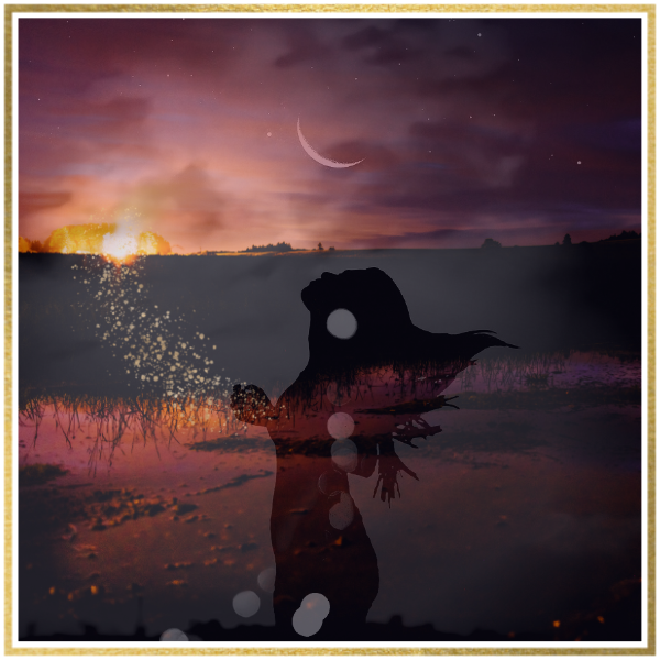 Magic Nights Sommer
